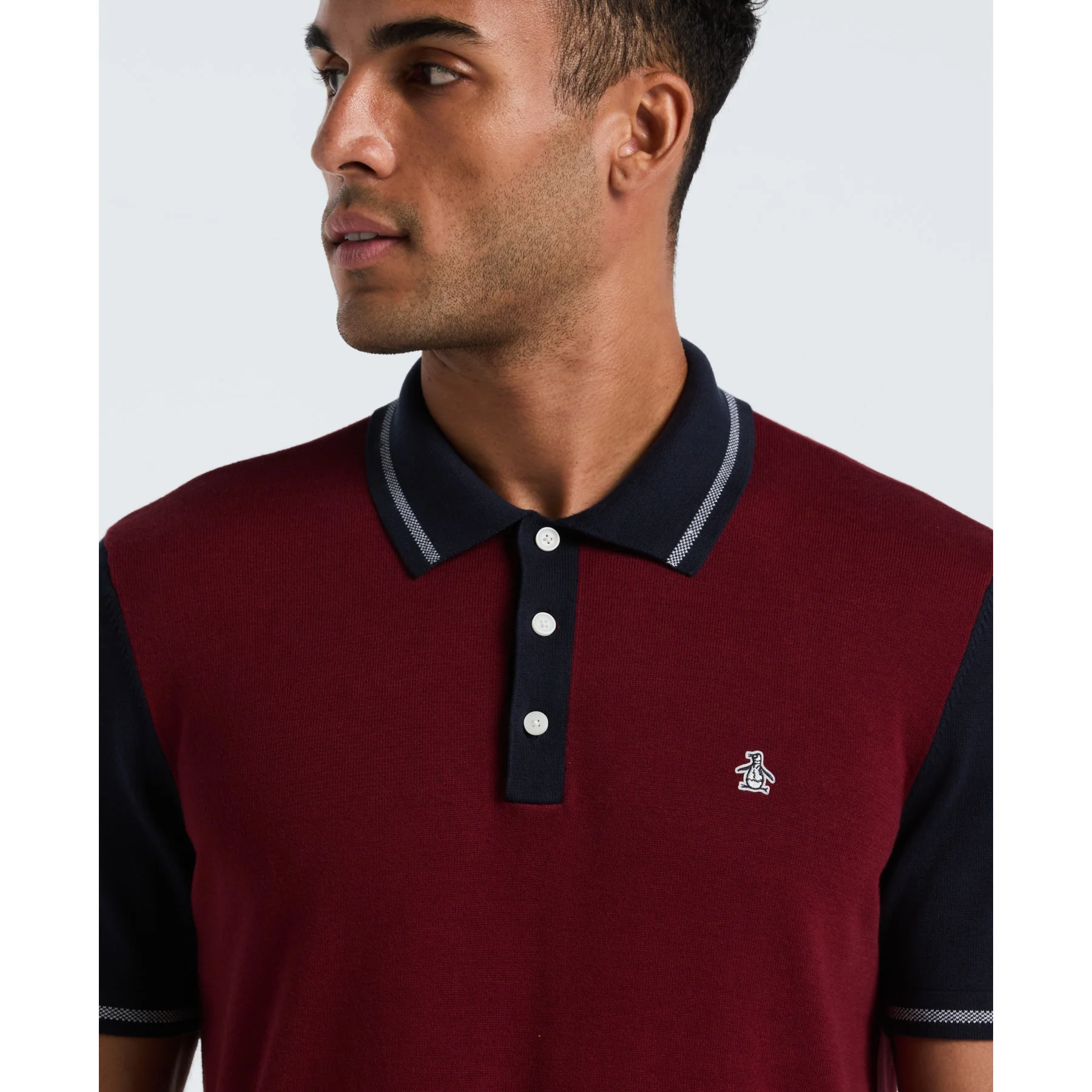 Colourblock Sweater Polo In Cabernet - Image 3