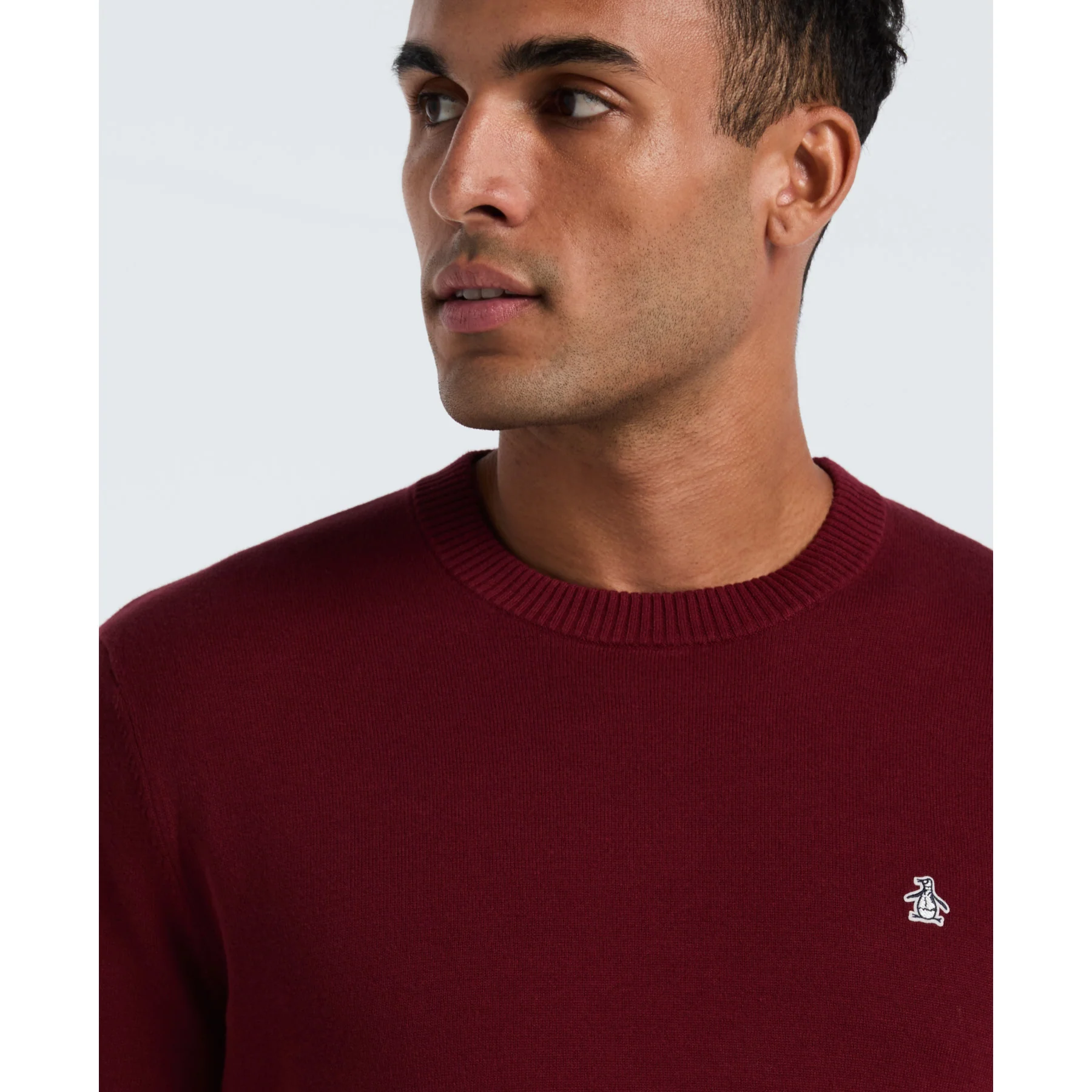 Cotton Crew Neck Sweater In Cabernet - Image 3