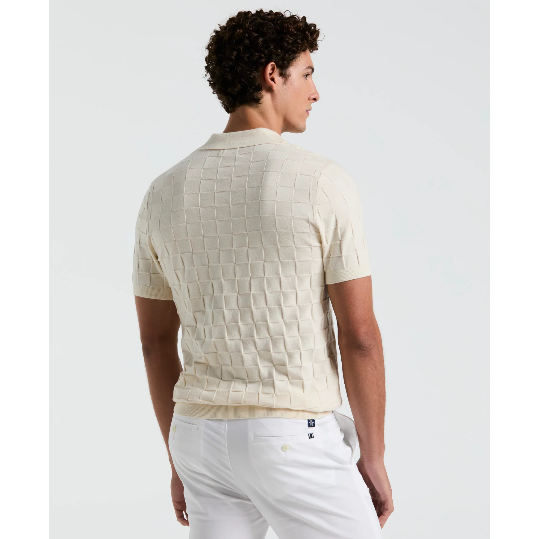 Jacquard Johnny Collar Sweater Polo Shirt In Birch - Image 2