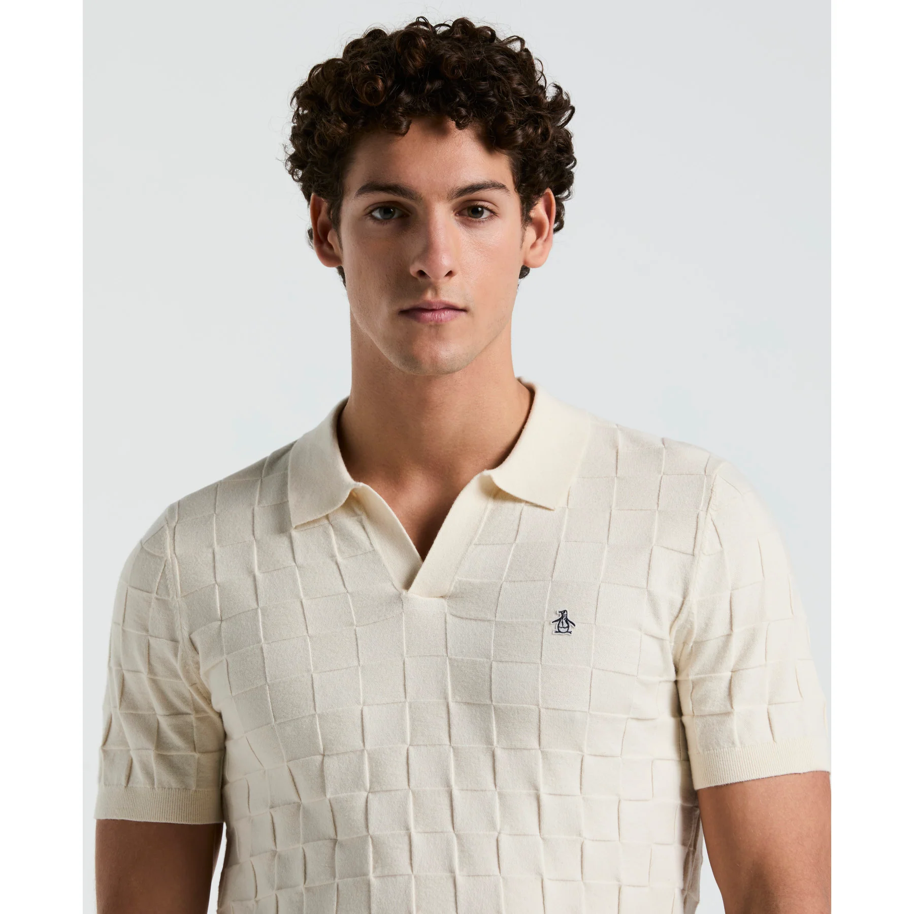 Jacquard Johnny Collar Sweater Polo Shirt In Birch - Image 3