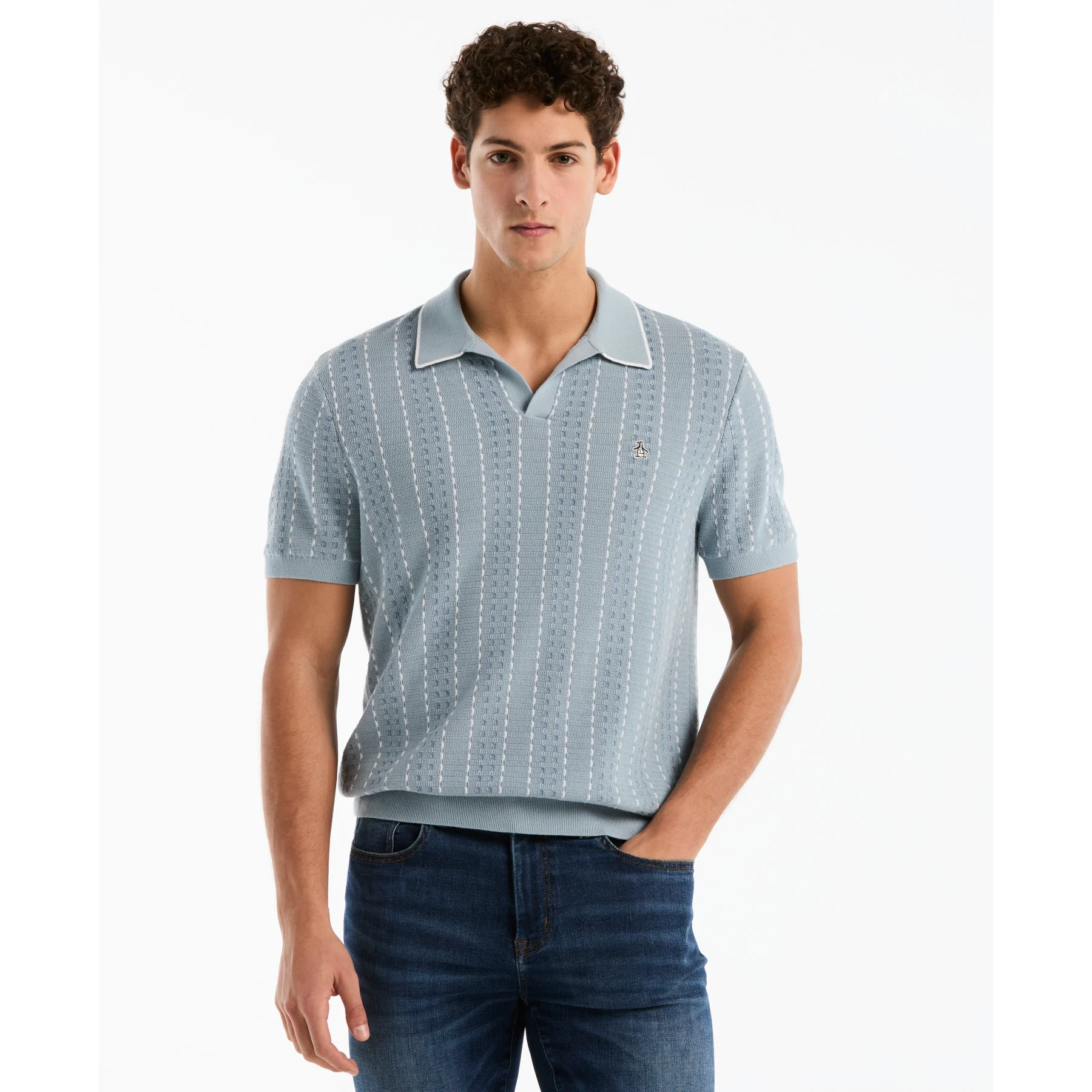 Jacquard Johnny Collar Sweater Polo In Dusty Blue