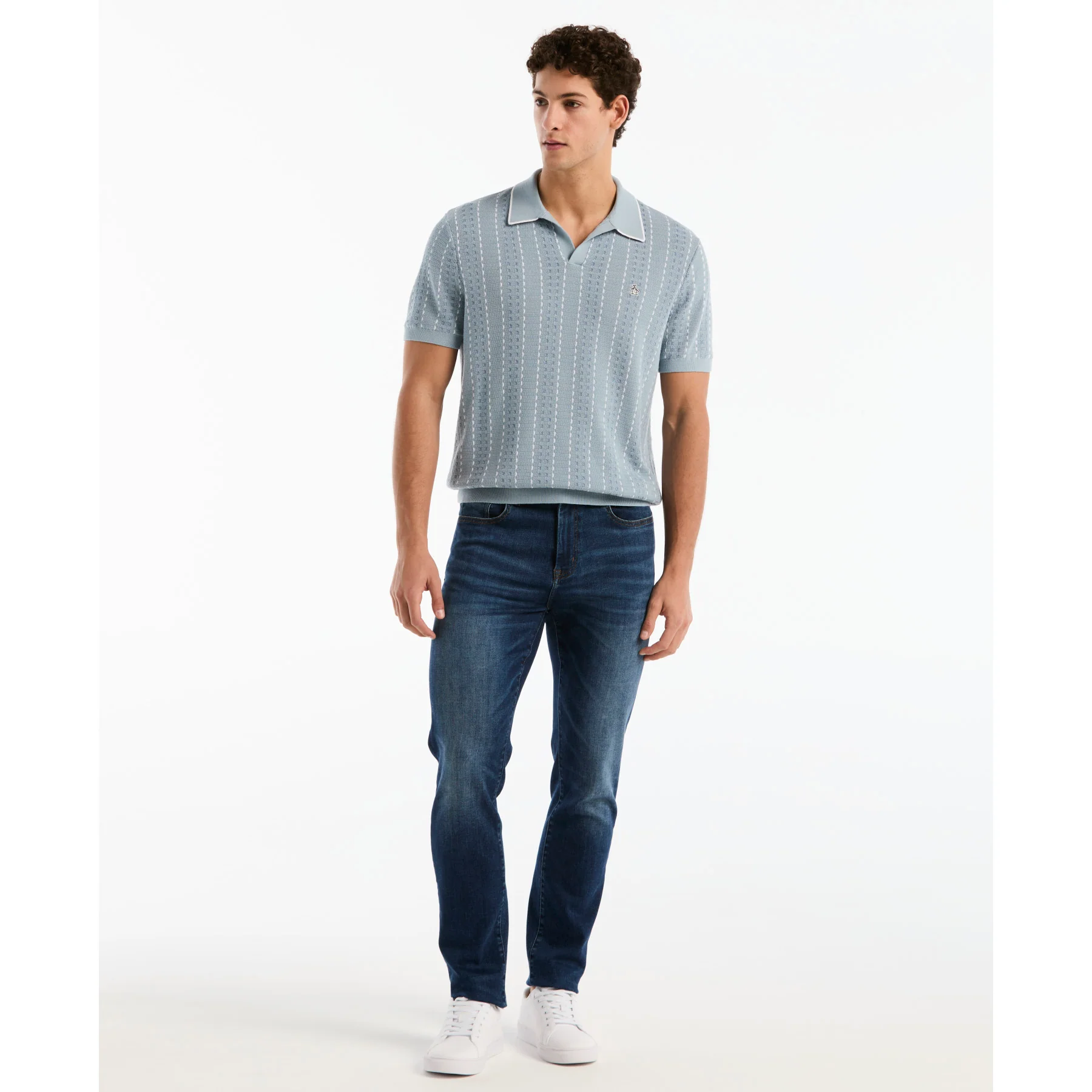 Jacquard Johnny Collar Sweater Polo In Dusty Blue - Image 2