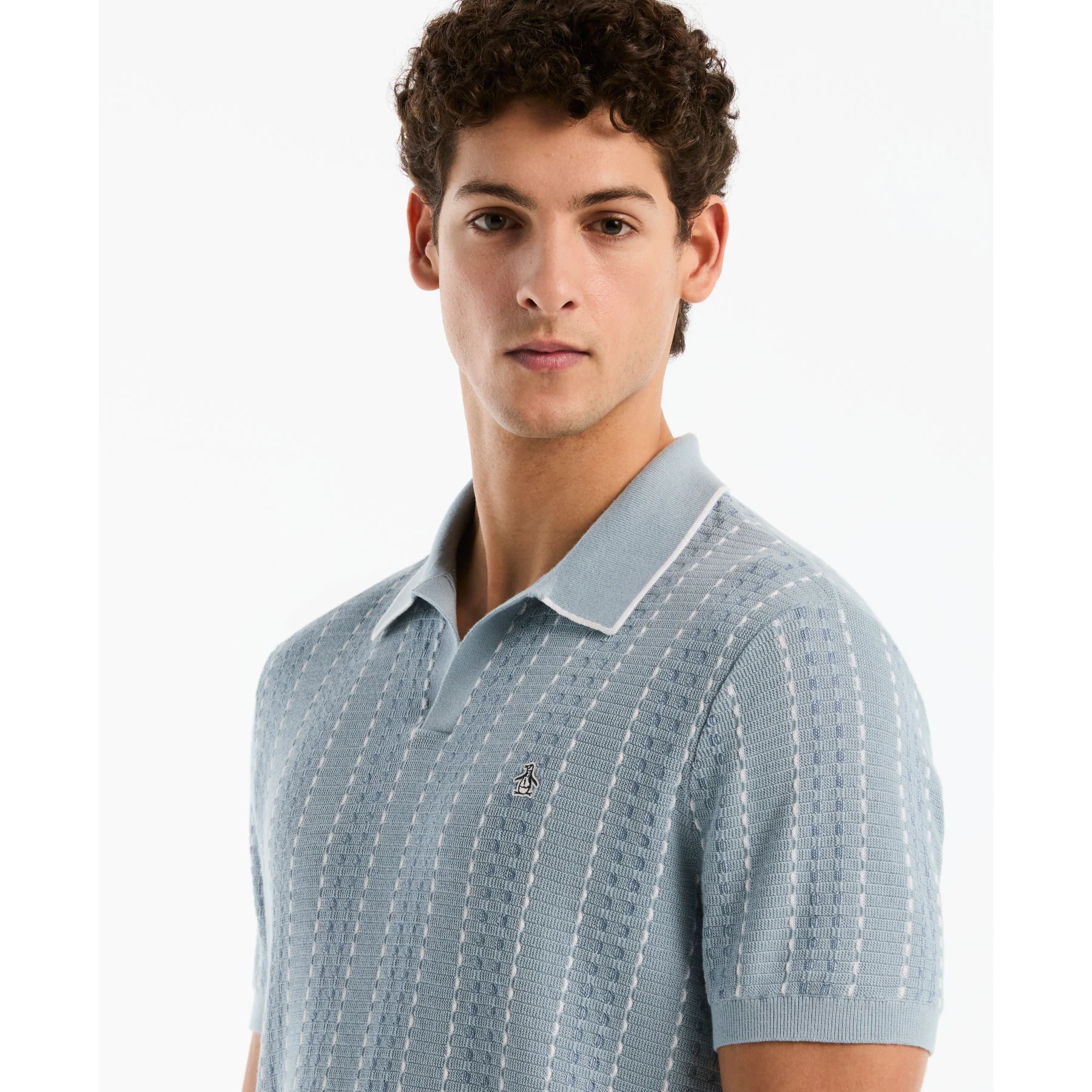 Jacquard Johnny Collar Sweater Polo In Dusty Blue - Image 4