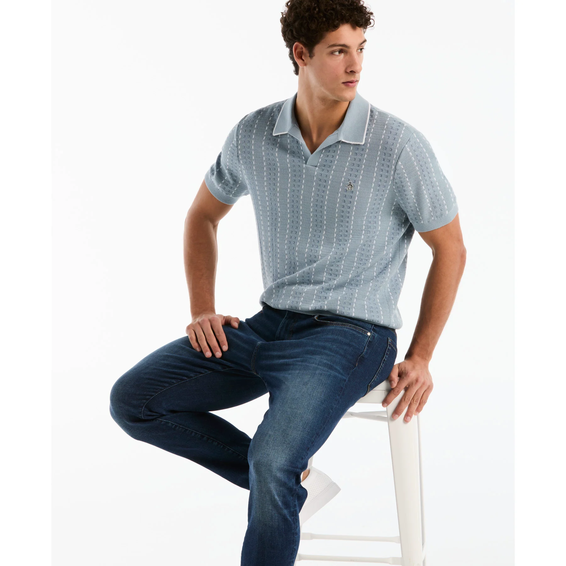Jacquard Johnny Collar Sweater Polo In Dusty Blue - Image 5