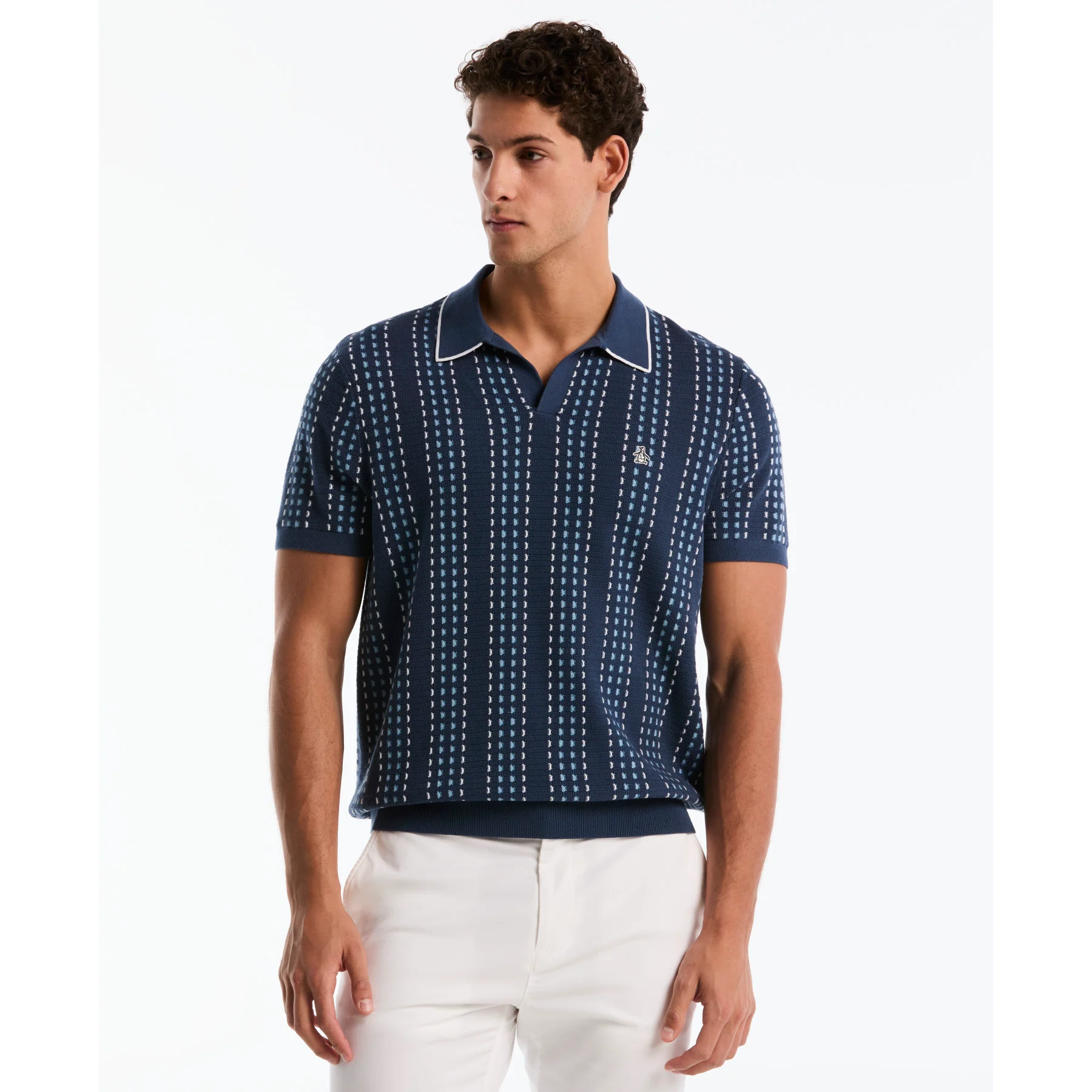 Jacquard Johnny Collar Sweater Polo In Sargasso Sea