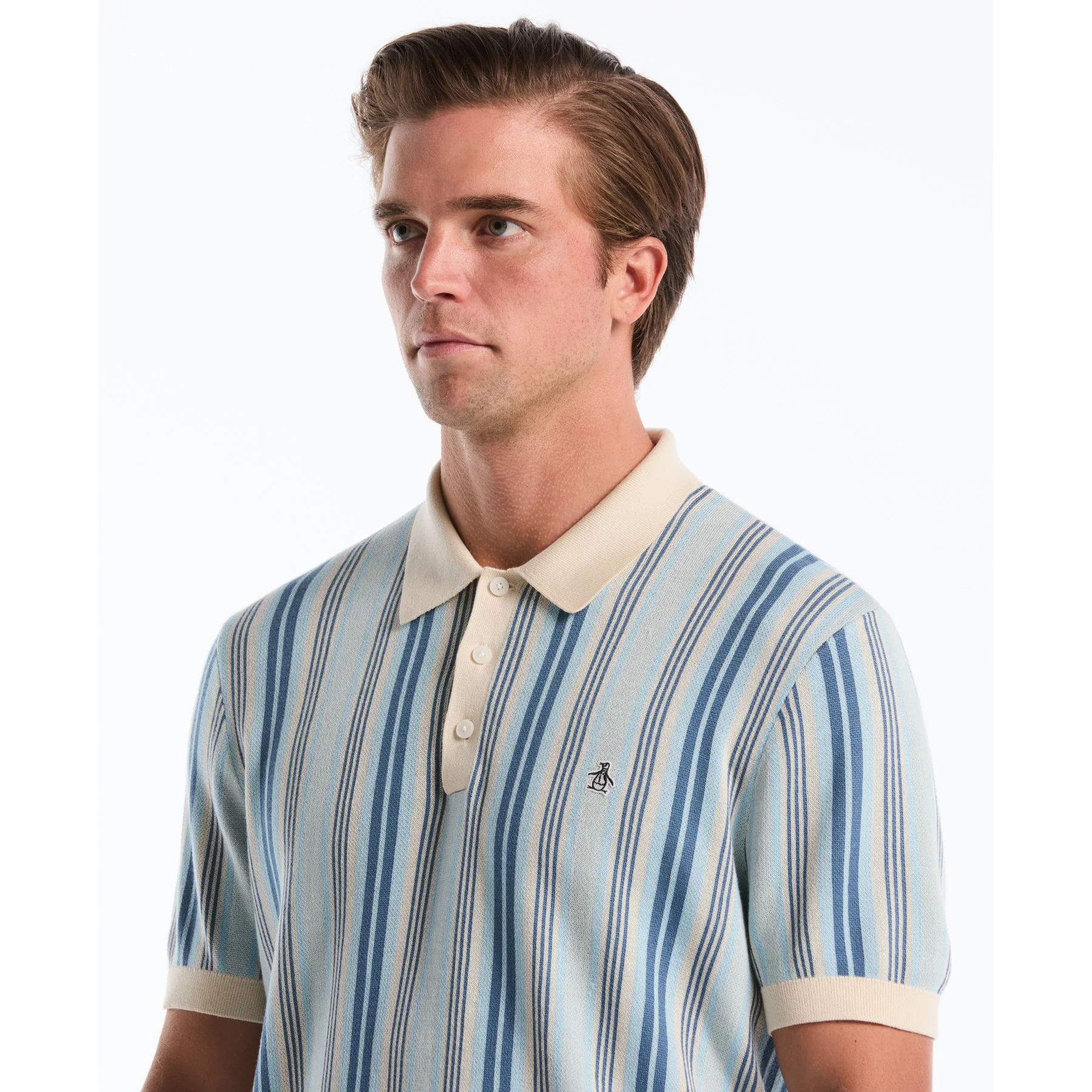 Jacquard Vertical Stripe Sweater Polo In Birch - Image 4