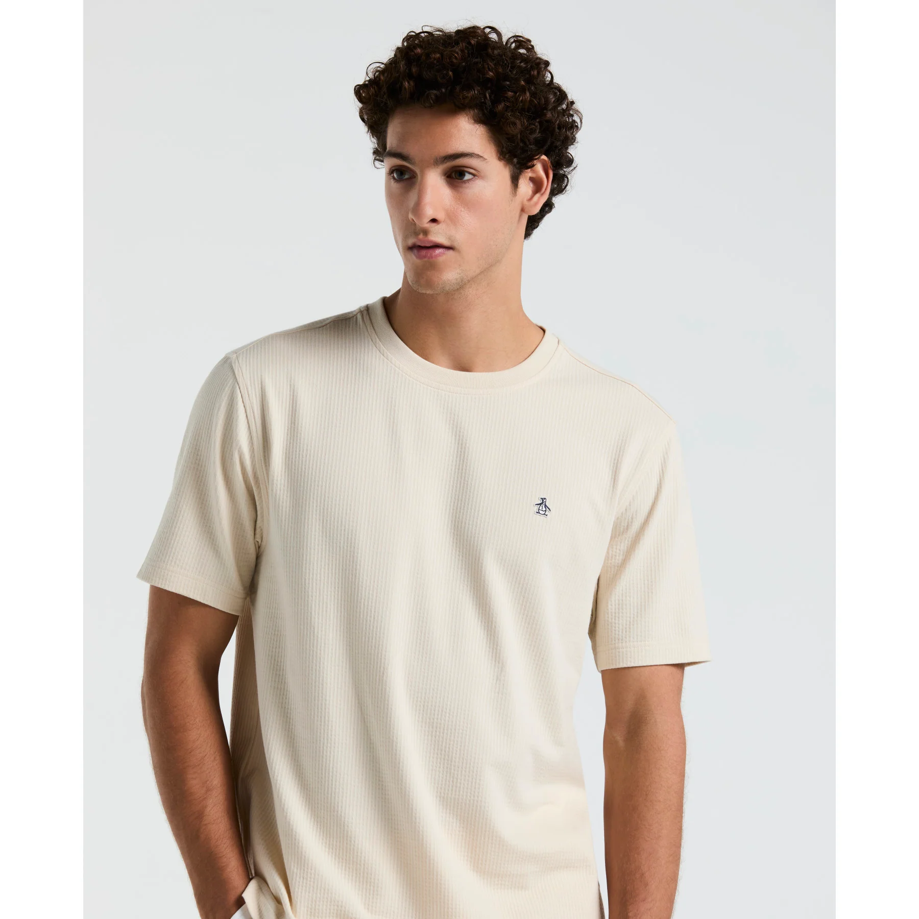 Knit Seersucker T-Shirt In Birch - Image 3