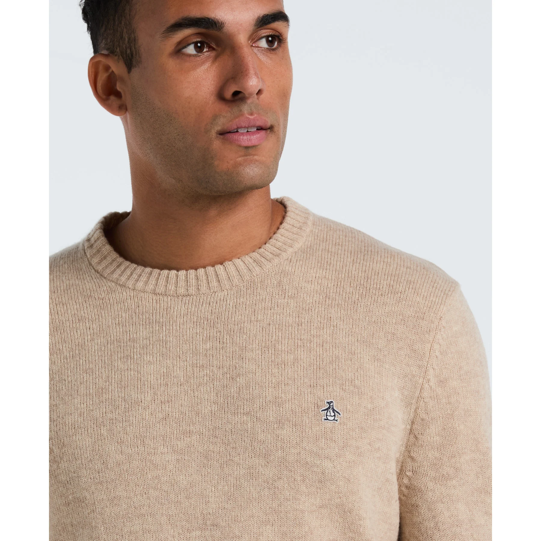Lambswool Crew Neck Sweater In Birch - Image 3