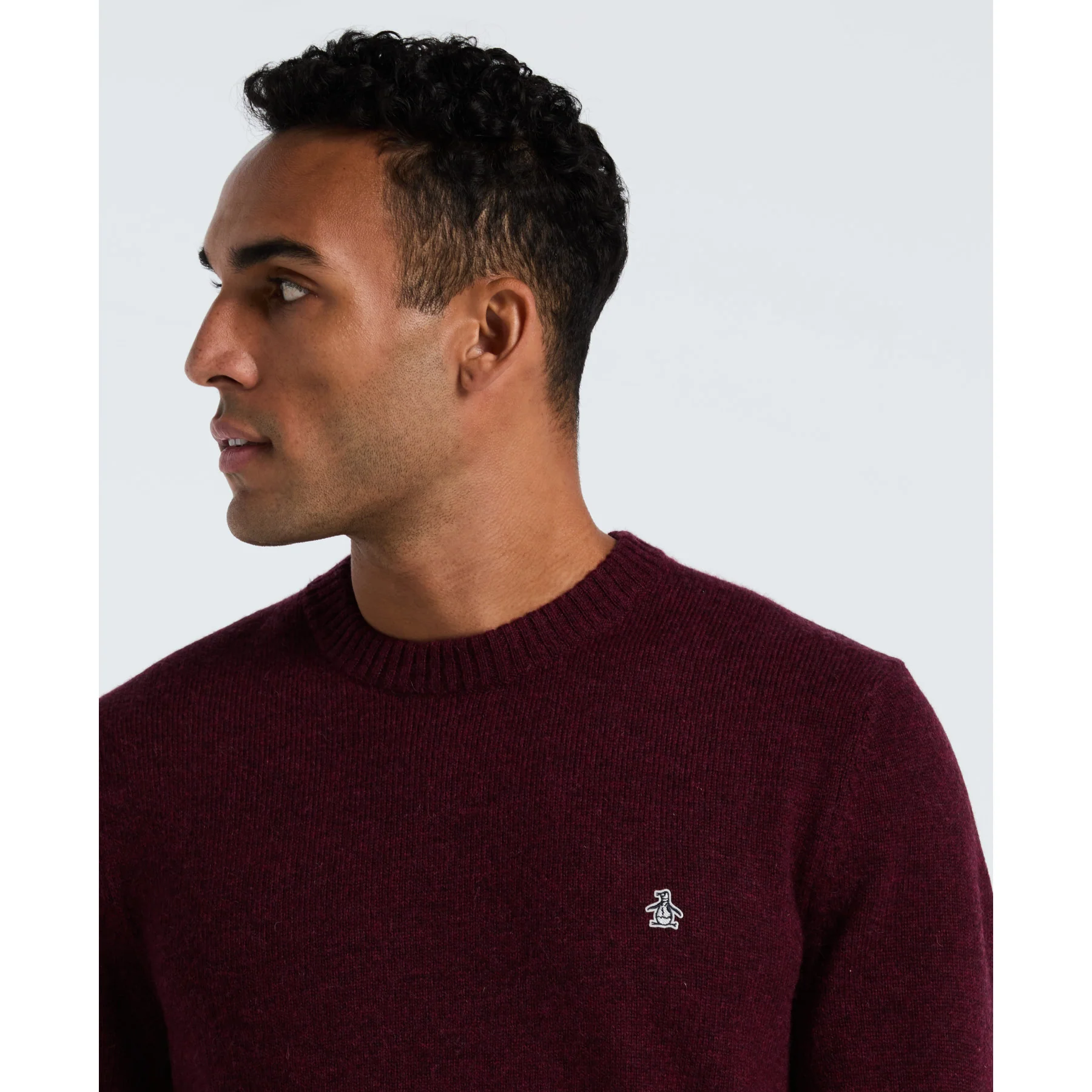 Lambswool Crew Neck Sweater In Cabernet - Image 3