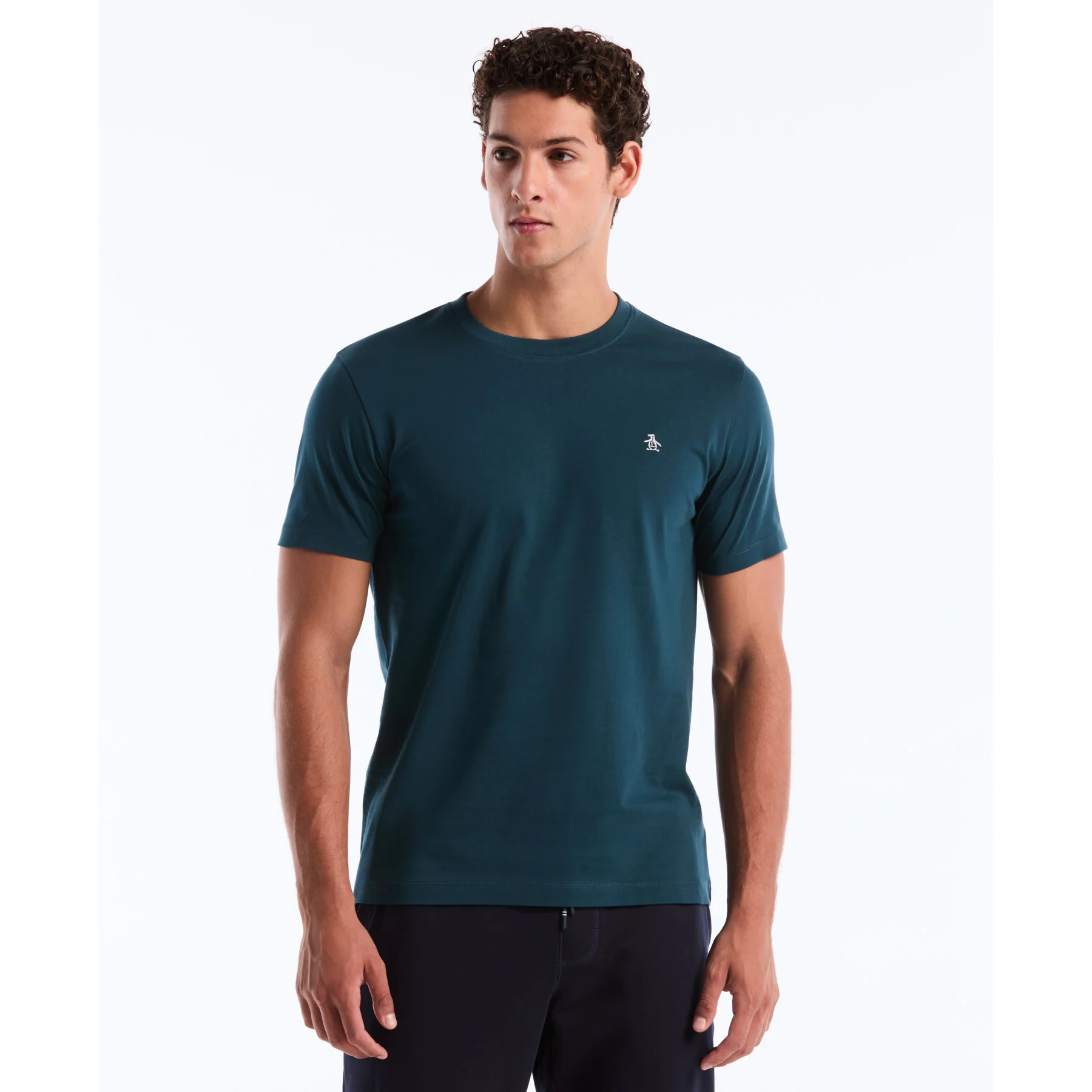 Pin Point Embroidered Logo T-Shirt In Reflecting Pond