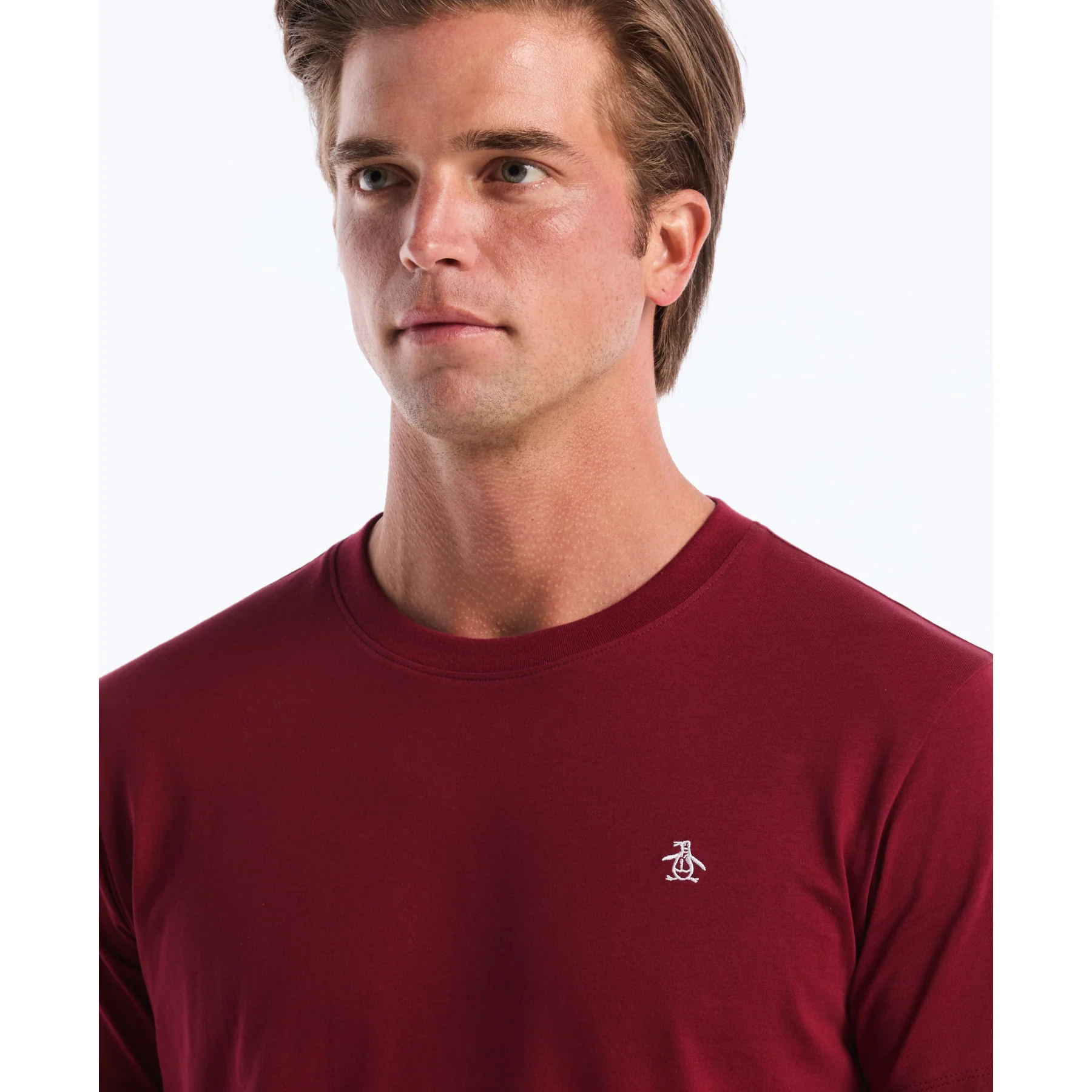Pin Point Embroidered Logo T-Shirt In Cabernet - Image 4