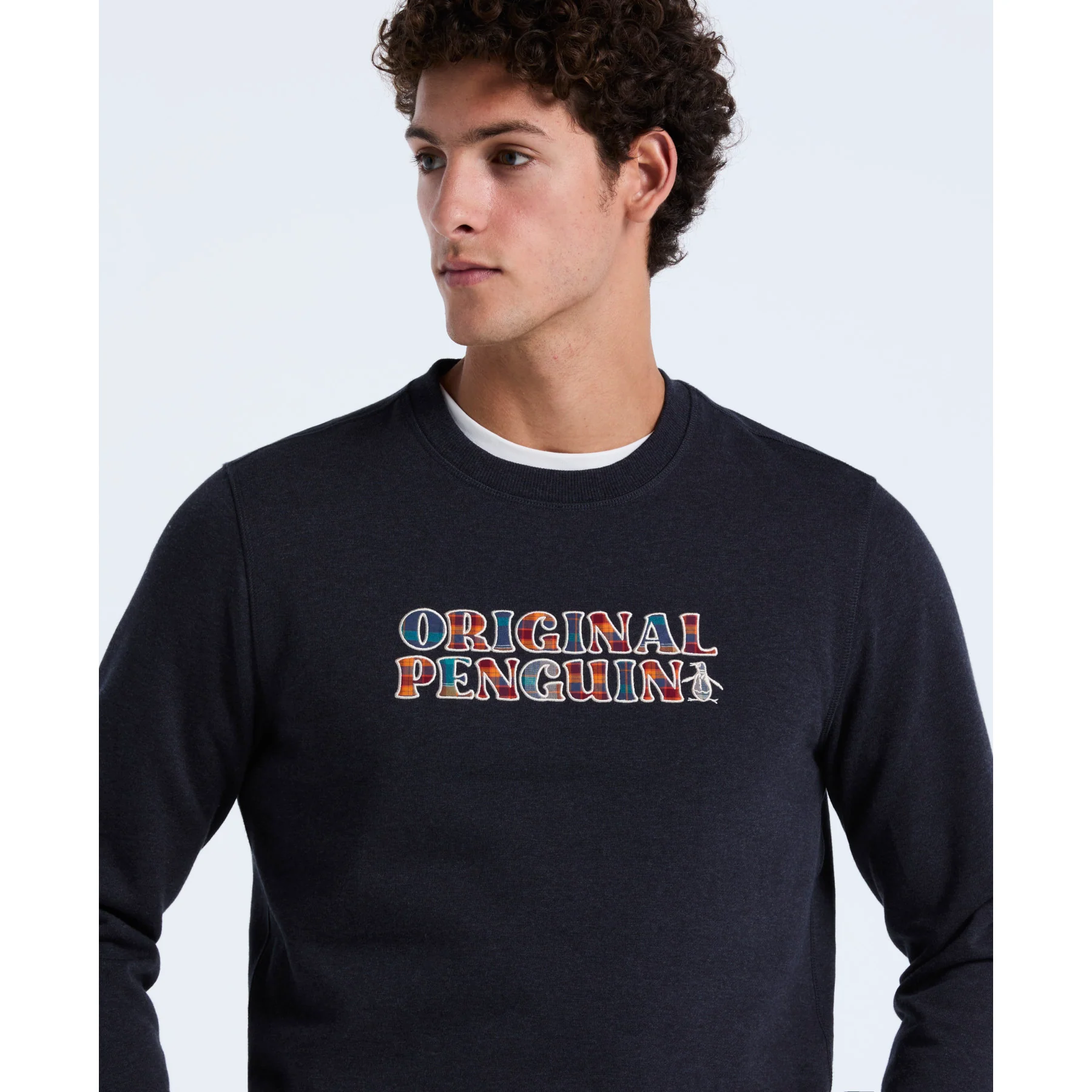 Plaid Logo Graphic Sweatshirt In Sapphire Heather - Image 3