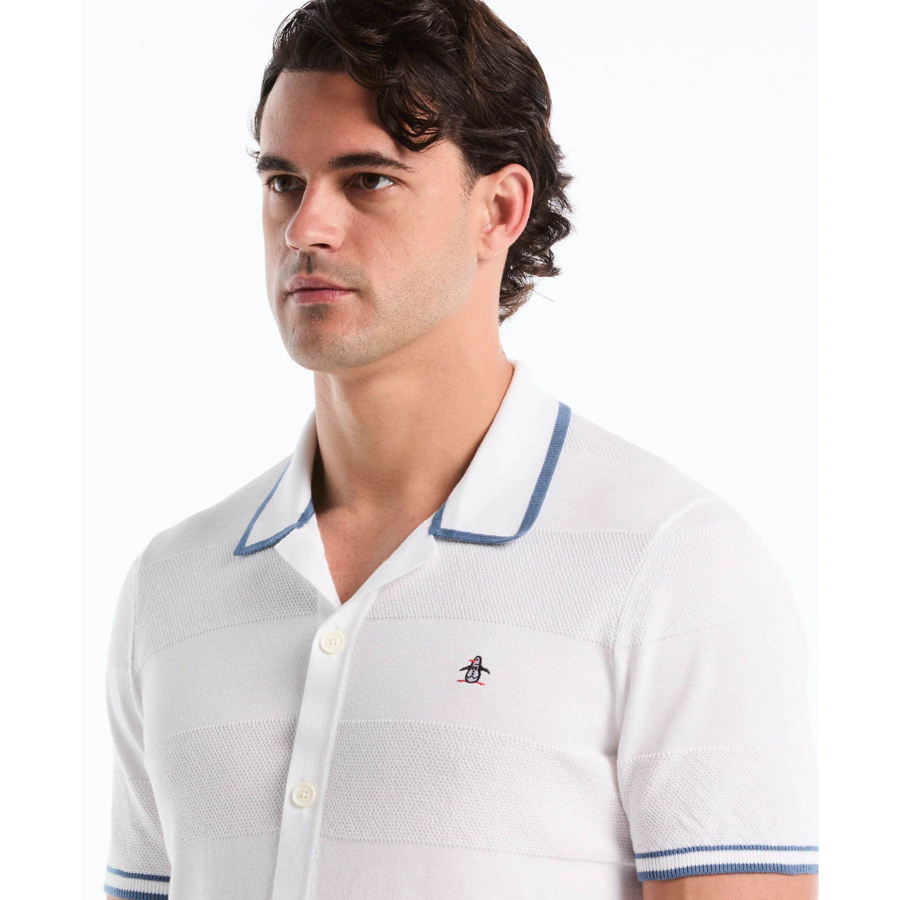 Seed Stitch Stripe Button Front Sweater Polo In Bright White - Image 4