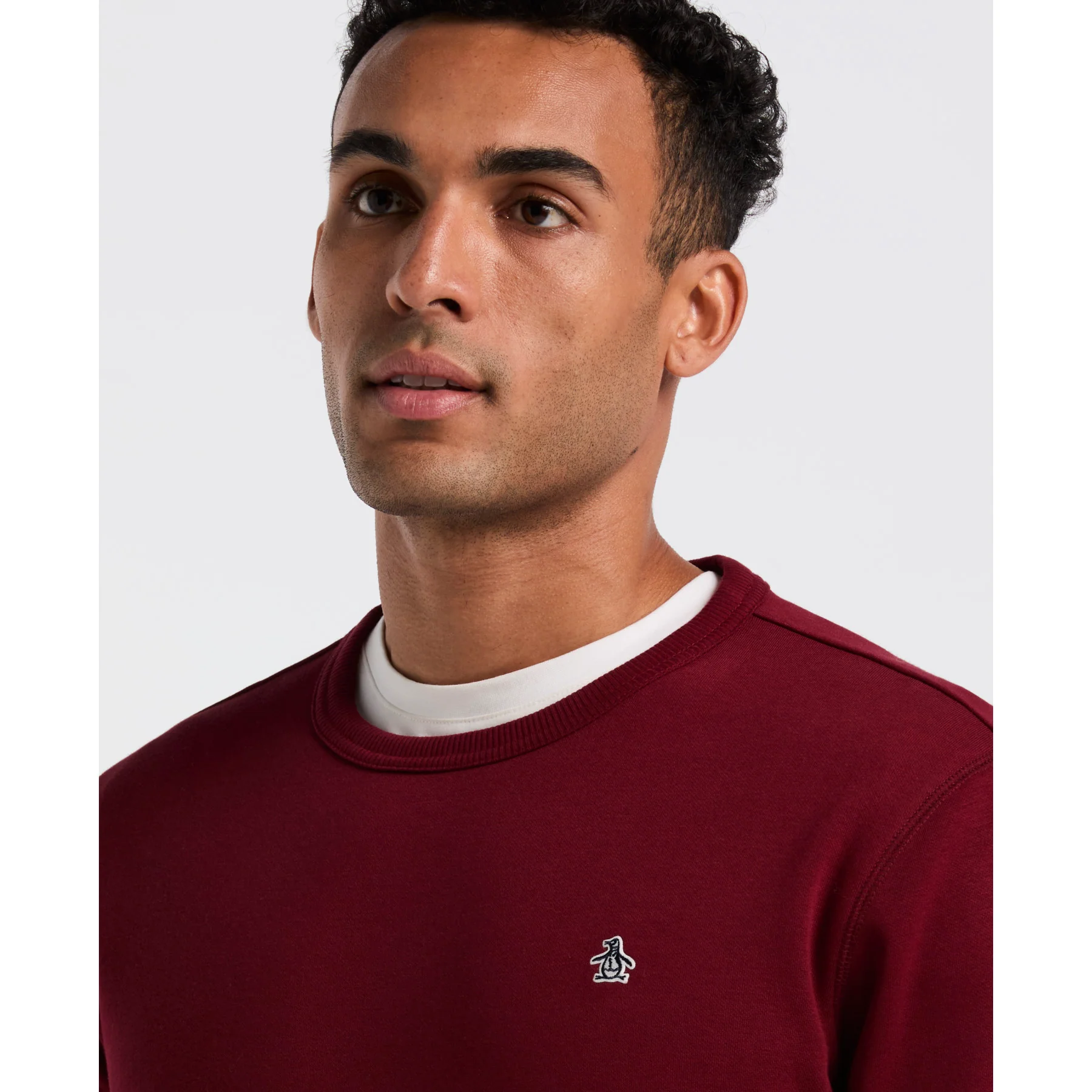 Sticker Pete Sweatshirt In Cabernet - Image 4