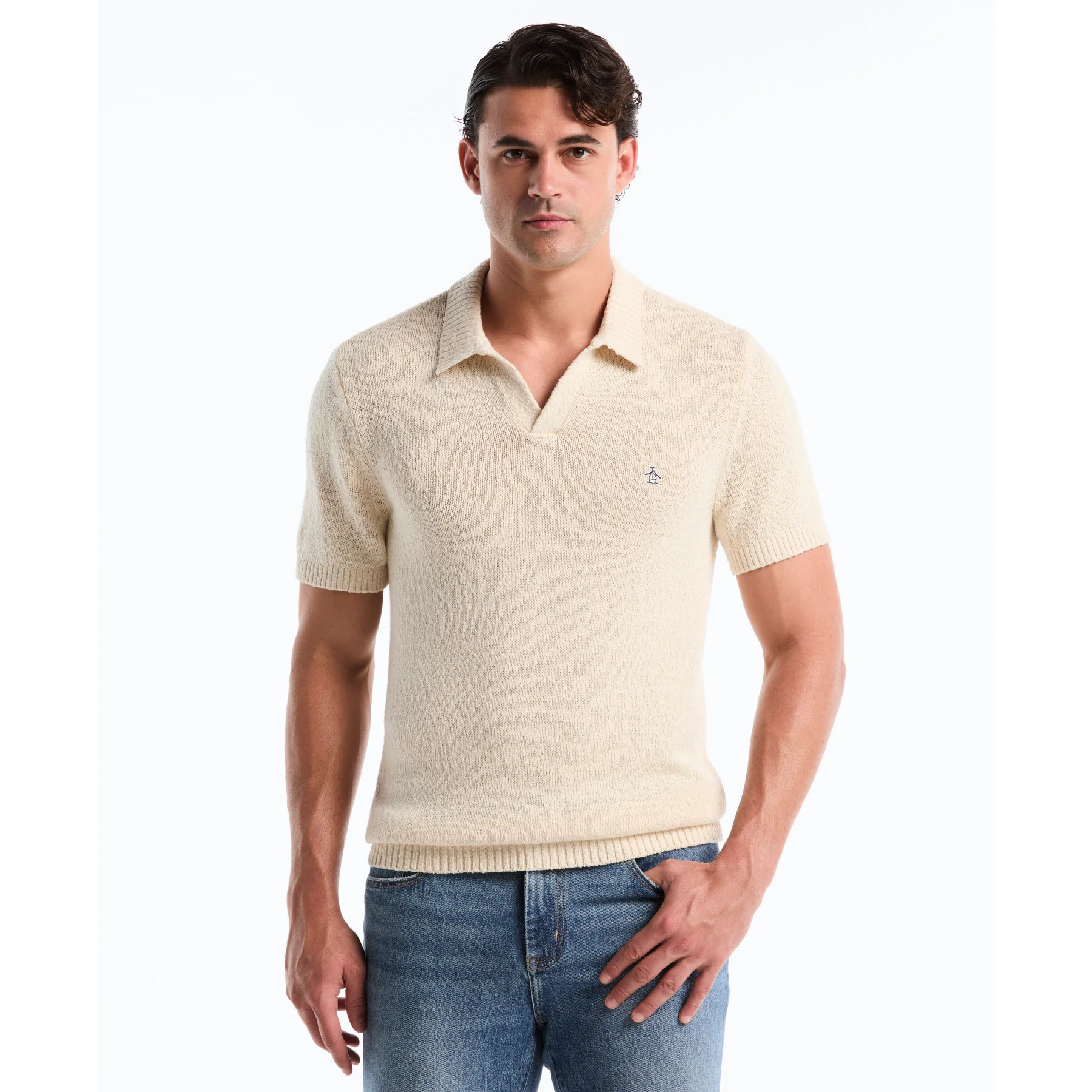 Textured Johnny Collar Sweater Polo In Birch