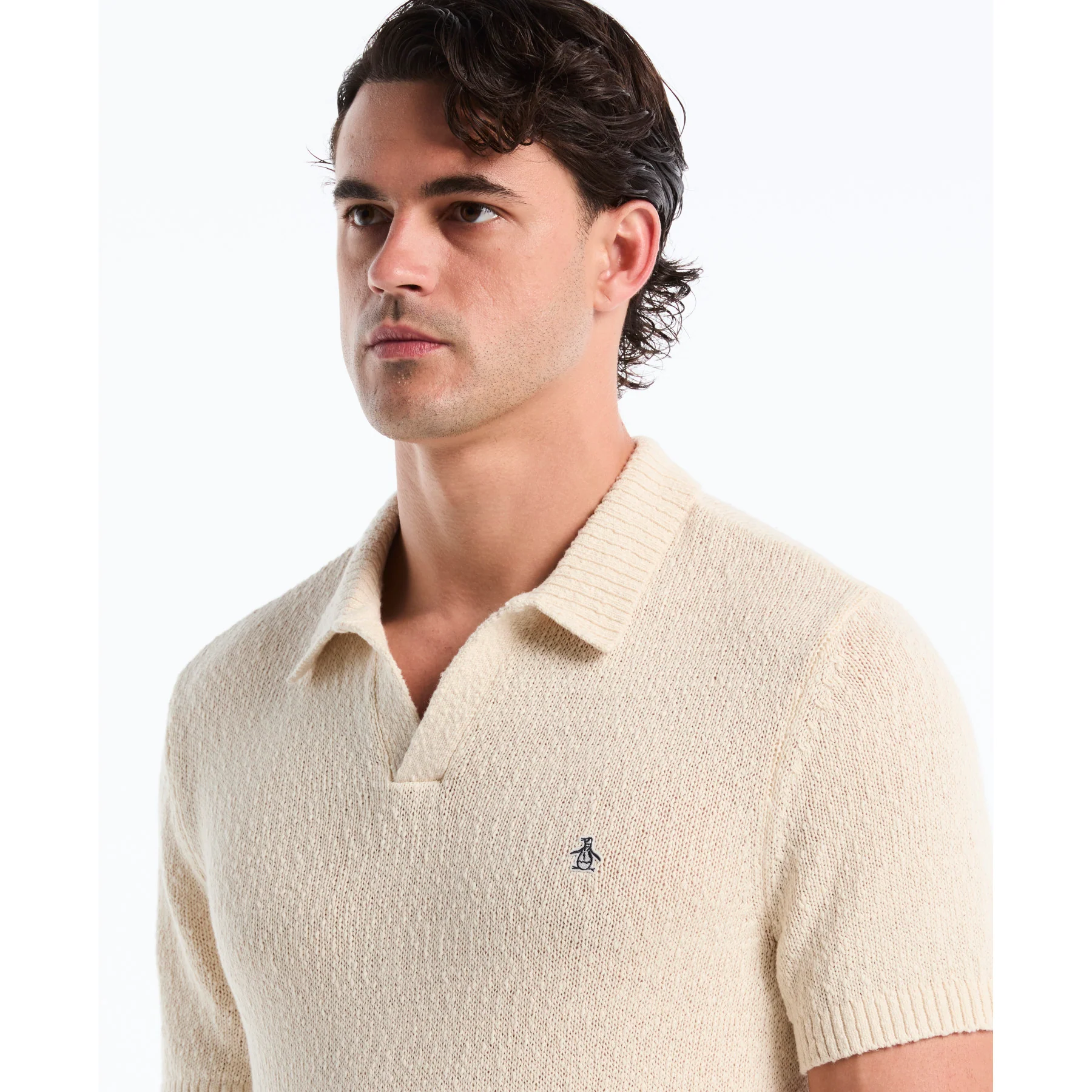 Textured Johnny Collar Sweater Polo In Birch - Image 4